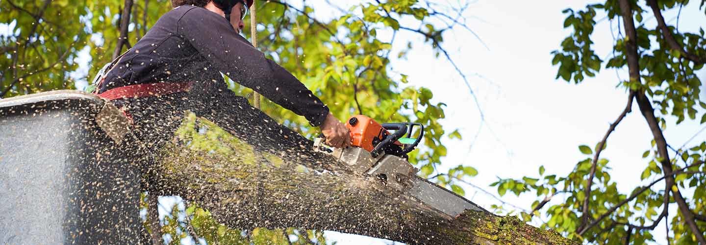 ABTreeService_478261537_1440