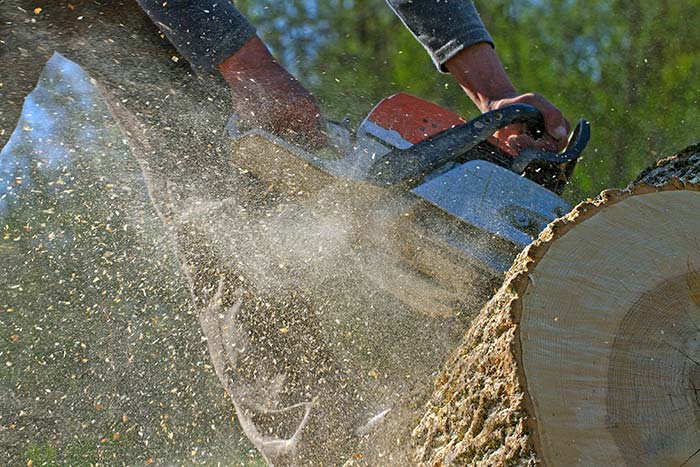 chainsaw cutting through a log